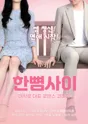 한뼘사이 [라온아트홀] 포스터